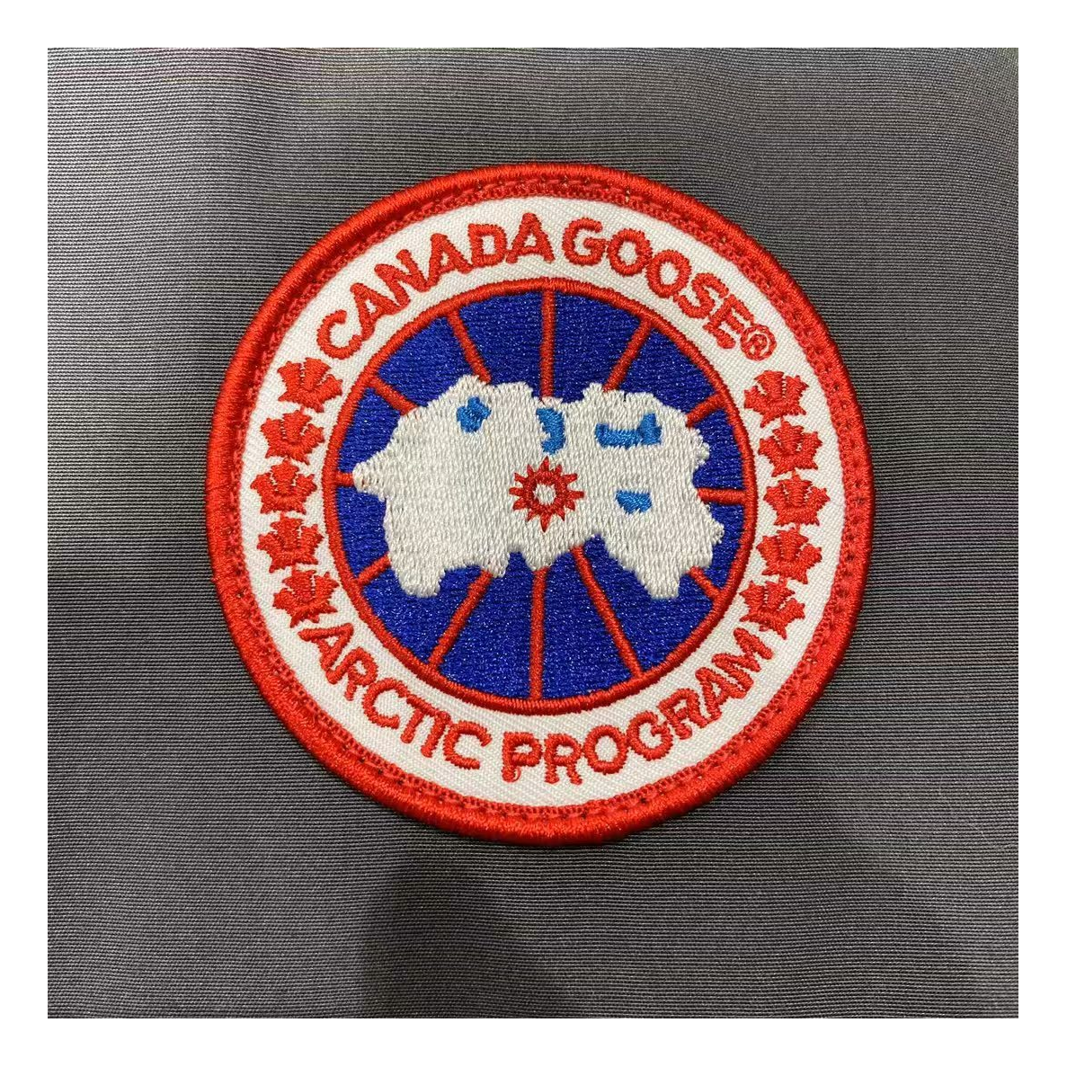 Canada Goose Women’s Trillium Fur-Trim Parka – 625-Fill Down, Coyote Fur Hood