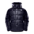 The North Face Urban Exploration Down Parka – 380-Fill Special Series
