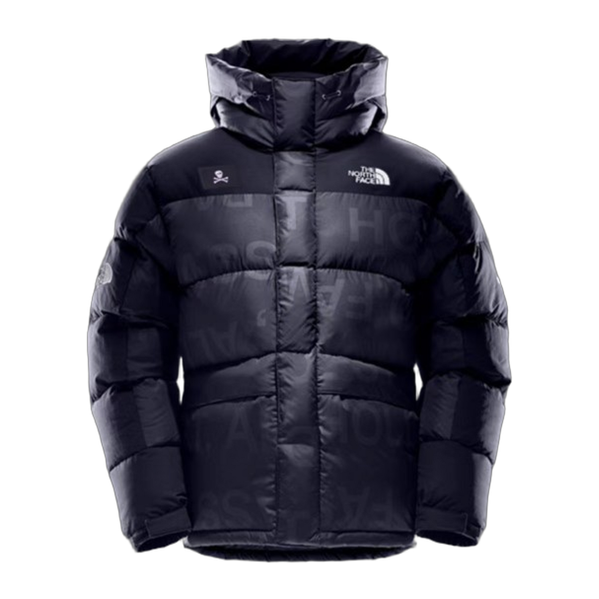 The North Face Urban Exploration Down Parka – 380-Fill Special Series