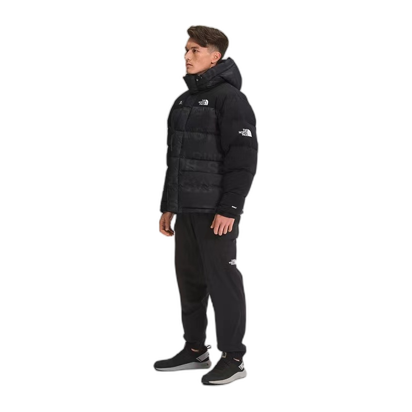 The North Face Urban Exploration Down Parka – 380-Fill Special Series