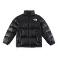 The North Face Contrast-Panel Puffer Jacket – Stand Collar, Street-Ready